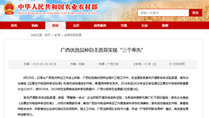 廣西優(yōu)良品種自主選育實現(xiàn)“三個率先”